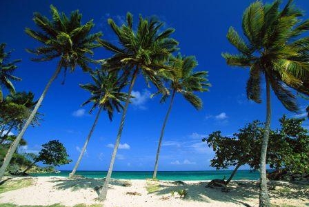 Отдых в Доминикане