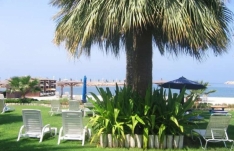 Отель Radisson Blu Resort Sharjah (ex. Radisson SAS)