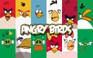 Сыграй в реальных Angry Birds в Стамбуле через пролив Босфор