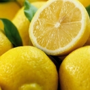 Фестиваль лимонов пройдет во Франции в 79-й раз
