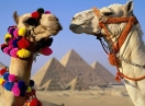 Новый курорт вскоре появится в Египте