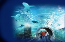 Второй по величине аквариум Европы открывается в Анталье