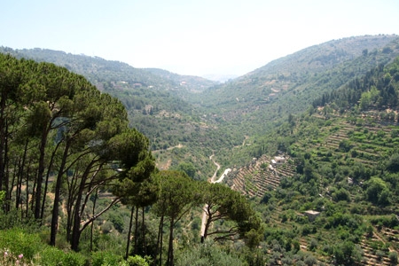 Отдых в Ливане