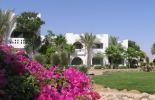 Отель Domina Coral Bay Oasis Hotel & Resort, Шарм Эль Шейх, Египет