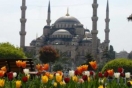 Турция: В Стамбуле начался фестиваль тюльпанов