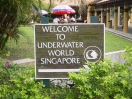 Крупнейший океанариум в мире прописался в Сингапуре